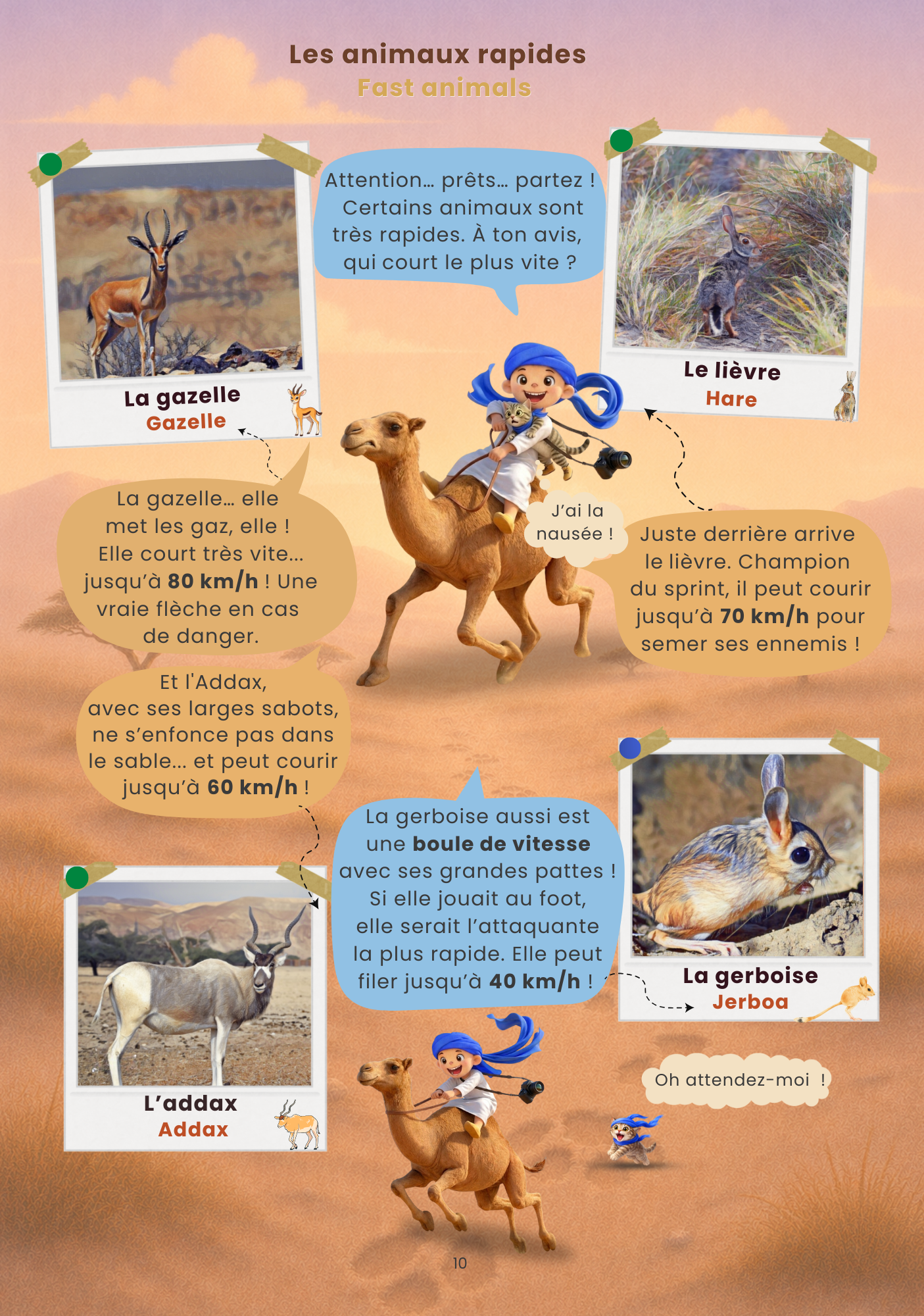 Livres illustrés Les Poupées du Monde