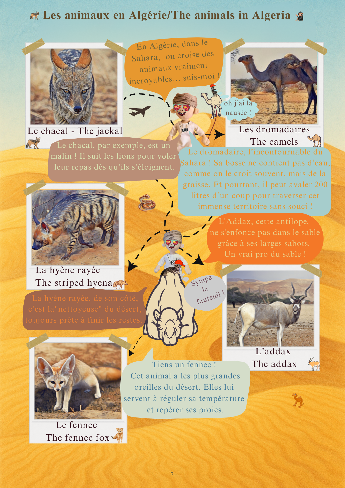 Livres illustrés Les Poupées du Monde