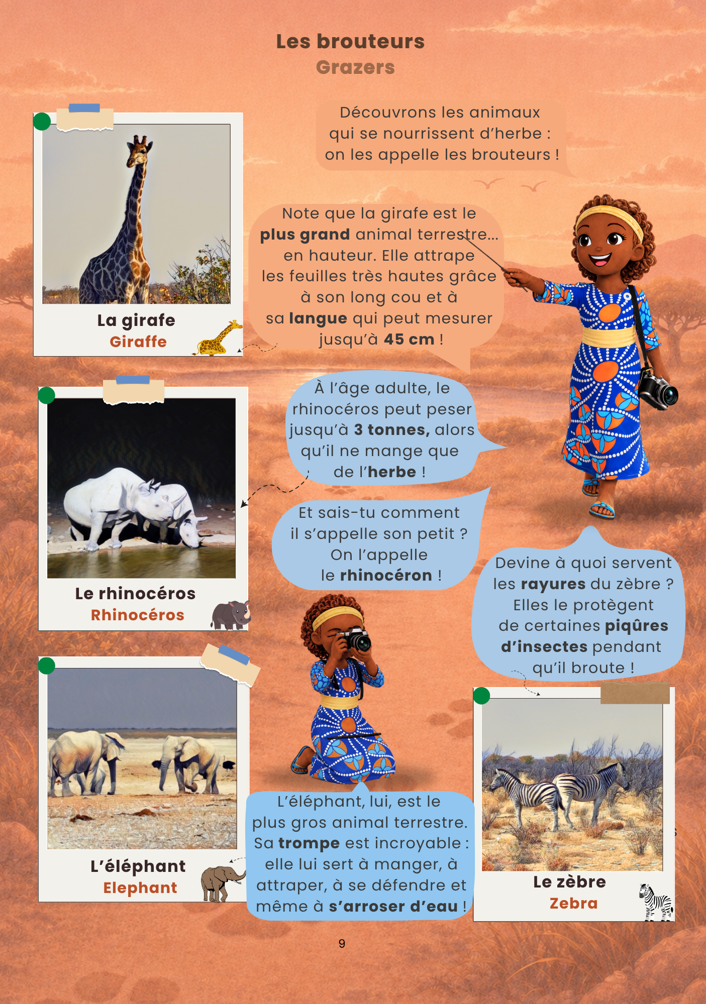 Livres illustrés Les Poupées du Monde